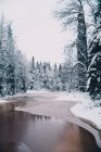Vista panoramica del fiume ghiacciato circondato da alti alberi di conifere che crescono nella foresta innevata in inverno — Foto stock