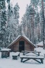Маленькая деревянная хижина и скамейки, расположенные в заснеженных лесах среди высоких хвойных деревьев зимой — стоковое фото