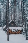 Petite cabane en bois et bois de chauffage empilés placés dans les bois enneigés parmi les grands conifères en hiver — Photo de stock
