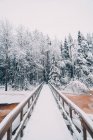 Vue imprenable sur le pont suspendu au-dessus de la rivière dans la forêt enneigée d'hiver par temps couvert — Photo de stock