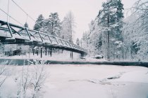 Toller Blick auf Hängebrücke über den Fluss im verschneiten Winterwald an bewölkten Tagen — Stockfoto