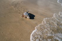 Wild released turtle on carapace on sandy seashore on sunny day — Stock Photo