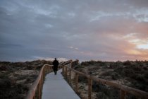 Back view of anonymous elderly female traveler in casual clothes walking on wooden pier on sandy beach and enjoying seascape at sunset - foto de stock