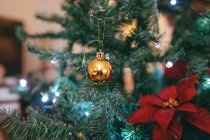 Shiny decorative ball hanging on golden lace on fir tree near flower during festive event at home — Stock Photo