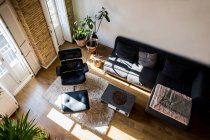 Из Над интерьером гостиной с зелеными растениями горшок и удобный диван в квартире в мансарде стиле — стоковое фото