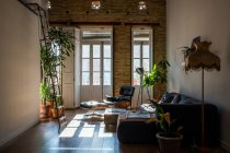 Интерьер гостиной с зелеными растениями в горшке и удобный диван в квартире в мансарде — стоковое фото