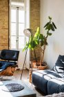 Інтер'єр вітальні з зеленими горщиками і зручним диваном в квартирі в стилі лофт — стокове фото