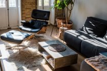 Интерьер гостиной с зелеными растениями в горшке и удобный диван в квартире в мансарде — стоковое фото