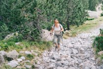 Ganzkörperkonzentrierte erwachsene Frau in Freizeitkleidung übt sich im Stangenlaufen und geht auf steinigem Pfad am Berghang in sommerlicher Natur — Stockfoto