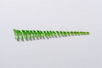 Вид зверху на яскраво-зелені скибочки листя соковитих рослин, що представляють концепцію ялинки — стокове фото