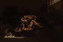 Вид сбоку мирной женщины в ночном халате, сидящей в кожаном кресле, освещенном солнцем и расслабляющей с закрытыми глазами — стоковое фото