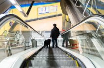 Back view full length of anonymous male suffering from blindness walking with obedient dog on moving staircase — Stock Photo