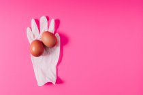 Зверху схожі курячі яйця на білій латексній рукавичці, що представляють концепцію органічного продукту — стокове фото