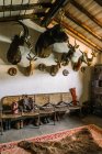 Intérieur de la maison de chasse avec des animaux en peluche suspendus au mur sous les chaussures pour la chasse — Photo de stock