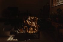 Vista laterale di tranquilla donna in camicia da notte seduta in poltrona di pelle illuminata dalla luce del sole e rilassante con gli occhi chiusi — Foto stock