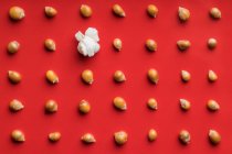 Primo piano di alcuni popcorn su sfondo rosso — Foto stock