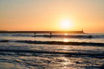 Siluetas de personas nadando y surfeando en olas de mar bajo un sol brillante que brilla en el cielo al atardecer - foto de stock