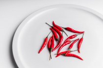 High angle composition of hot red chili peppers arranged on ceramic plate against white background — Stock Photo