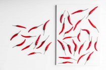 Hohe Winkel Zusammensetzung von scharfen roten Chilischoten angeordnet Platte gegen weiße Platte Oberfläche Hintergrund — Stockfoto