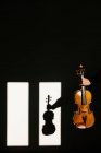 Ernte unkenntlich Musiker in seidenschwarzem Hemd mit moderner akustischer Geige in ausgestreckter Hand in dunklem Raum gegen Fenster an sonnigem Tag — Stockfoto