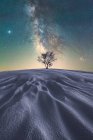 Malerischer Blick auf den blattlosen Baum, der in der riesigen Sandwüste unter glühend dunklem Himmel im Picos de Europa Nationalpark wächst — Stockfoto