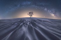 Picturesque view of leafless tree growing in vast sandy desert under glowing dark sky in Picos de Europa National Park — Stock Photo
