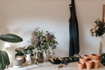 Различные глиняные горшки рядом с растениями с цветущими цветами и ручные садовые инструменты в доме — стоковое фото