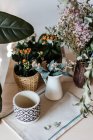 Различные глиняные горшки рядом с растениями с цветущими цветами и ручные садовые инструменты в доме — стоковое фото