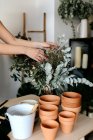 Gekappt unkenntliche Gärtnerin Herstellung Strauß auf dem Tisch mit verschiedenen Werkzeugen zu Hause — Stockfoto
