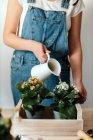 Crop anonymous female horticulturist watering blossoming plants with lush leaves in wooden box in house — Foto stock
