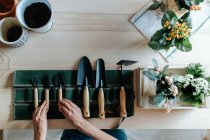 Top view of crop anonymous female horticulturist using manual tool on soil of potted plant with blossoming flowers in house - foto de stock