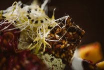 Close-up vista de prato com saborosa salada vegetariana indonésia com manga fresca e fatias de queijo de caju perto de soja e condimentos cobertos com vinagrete de manjericão — Fotografia de Stock