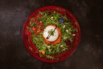 Vista aérea del delicioso queso burrata sobre crema de tomate frío con hojas de rúcula y tomates cherry con trufas y cacahuetes - foto de stock