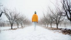 Full body back view of unrecognizable male in warm winter clothes strolling on snowy path covered with snow in park — Stock Photo