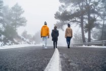 Ground level full body of unrecognizable teens walking on asphalt roadway between snowy trees in gloomy day — Stock Photo