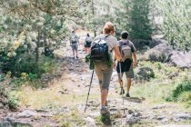 Back view of unrecognizable group of trekkers with rucksacks and poles strolling on pathway on summer day — Fotografia de Stock