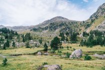 Malerischer Blick auf welligen Bach zwischen grünen Wiesen und rauen Felsbrocken mit Steinen am Tag — Stockfoto