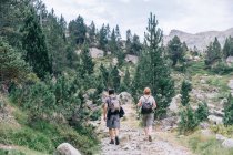 Back view of anonymous backpackers walking on mountain during summer trip - foto de stock