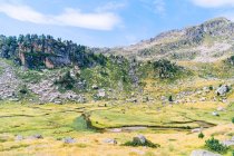 Malerischer Blick auf welligen Bach zwischen grünen Wiesen und rauen Felsbrocken mit Steinen am Tag — Stockfoto