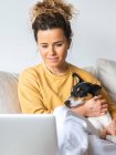 Positive female freelancer in casual clothes sitting with Ratonero Bodeguero Andaluz dog on comfortable sofa while working on project on laptop in light room — Stock Photo