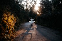 Full body of anonymous female wearing white dress walking on rural road among green trees in nature on evening time - foto de stock