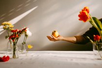 Crop anonimo persona lanciando mela matura in aria sopra tavolo con tulipani e garofani freschi — Foto stock