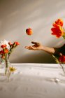 Crop anonymous person tossing ripe apple in air above table with tulips and fresh carnations — Stock Photo