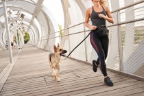 Side view full body of active female athlete running with German Shepherd dog during cardio training — Stock Photo