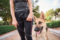 Baixo ângulo de proprietário feminino positivo em sportswear de pé com cão pastor alemão no parque — Fotografia de Stock