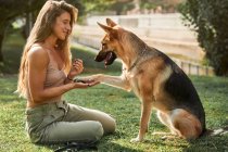 Side view of positive female owner sitting near German Shepherd dog giving paw while training commands in park — Stock Photo