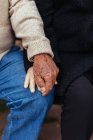 Cultivo de pareja de ancianos anónimos tomados de la mano mientras están sentados en un banco del parque - foto de stock
