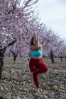 Mulher curvilínea irreconhecível em sportswear de pé em Garudasana no jardim com amendoeiras florescentes e praticando ioga enquanto equilibra na perna — Fotografia de Stock
