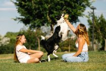 Seitenansicht einer Frau und eines halbwüchsigen Mädchens, die im Sommer auf einer Wiese sitzen und am sonnigen Wochenende mit dem flauschigen Border Collie Hund spielen — Stockfoto