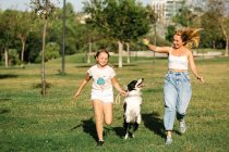Mãe alegre e filha correndo no parque de verão e brincando com o adorável cão Border Collie enquanto se divertem juntos no fim de semana — Fotografia de Stock